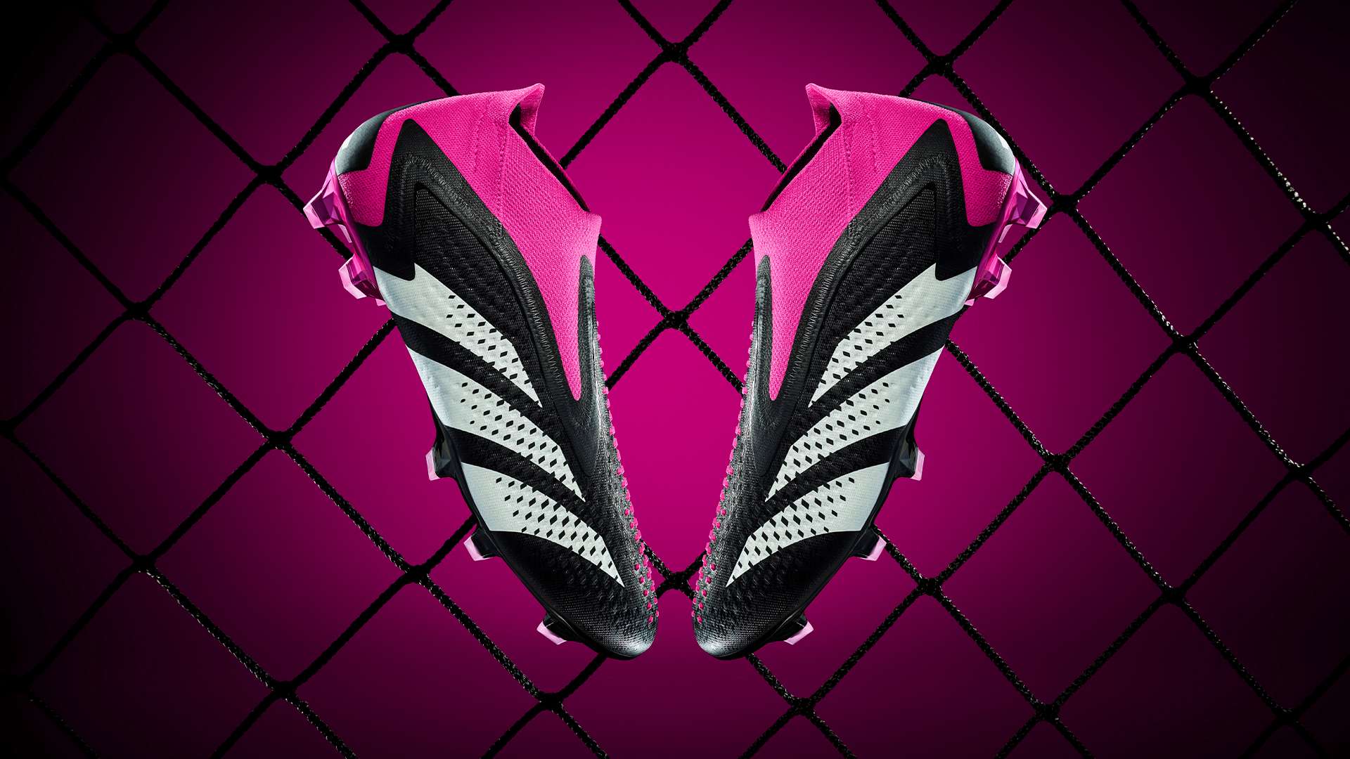 冷門與黑馬 冷門與黑馬